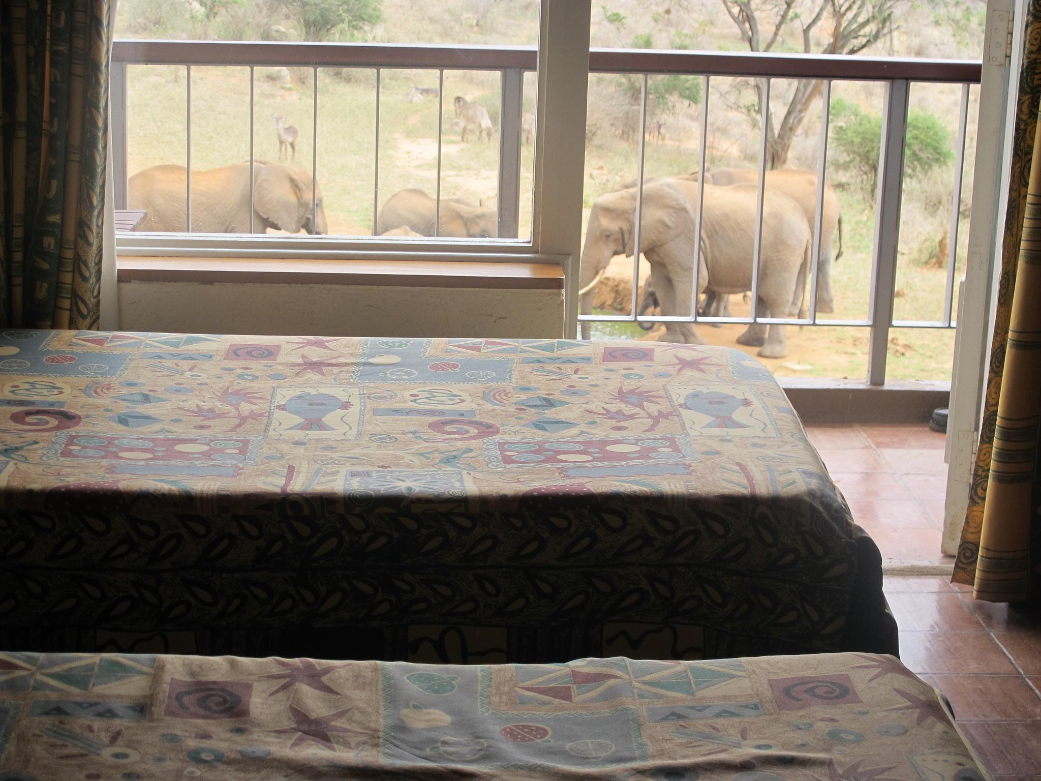 Ngulia Safari Lodge Tsavo Exterior photo