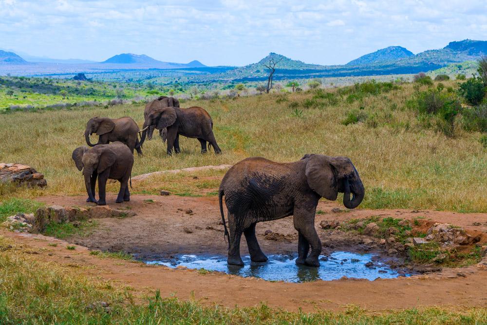 Ngulia Safari Lodge Tsavo Exterior photo