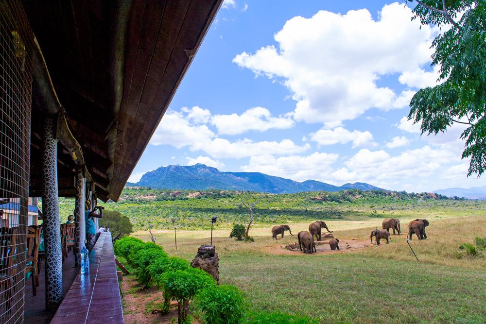Ngulia Safari Lodge Tsavo Exterior photo